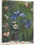 Wild Roses and Irises, 1887 by John La Farge