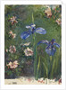 Wild Roses and Irises, 1887 by John La Farge