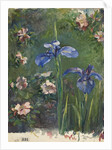 Wild Roses and Irises, 1887 by John La Farge