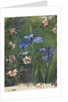 Wild Roses and Irises, 1887 by John La Farge