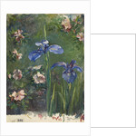 Wild Roses and Irises, 1887 by John La Farge