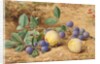 Plums, 1870 by John William Hill