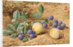 Plums, 1870 by John William Hill