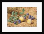 Plums, 1870 by John William Hill