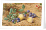 Plums, 1870 by John William Hill
