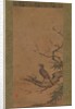 Brown-Eared Bulbul on a Branch of Plum, mid- to late 16th century by Kano Shoei