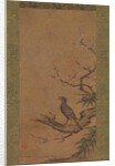 Brown-Eared Bulbul on a Branch of Plum, mid- to late 16th century by Kano Shoei
