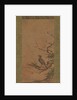 Brown-Eared Bulbul on a Branch of Plum, mid- to late 16th century by Kano Shoei