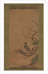 Brown-Eared Bulbul on a Branch of Plum, mid- to late 16th century by Kano Shoei