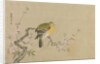 Album of Copies of Chinese Paintings, 17th century by Kanô Yôboku Tsunenobu