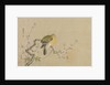 Album of Copies of Chinese Paintings, 17th century by Kanô Yôboku Tsunenobu