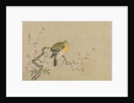 Album of Copies of Chinese Paintings, 17th century by Kanô Yôboku Tsunenobu