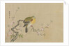 Album of Copies of Chinese Paintings, 17th century by Kanô Yôboku Tsunenobu