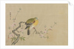 Album of Copies of Chinese Paintings, 17th century by Kanô Yôboku Tsunenobu