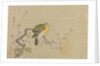 Album of Copies of Chinese Paintings, 17th century by Kanô Yôboku Tsunenobu