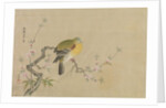 Album of Copies of Chinese Paintings, 17th century by Kanô Yôboku Tsunenobu