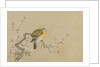 Album of Copies of Chinese Paintings, 17th century by Kanô Yôboku Tsunenobu