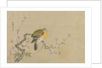 Album of Copies of Chinese Paintings, 17th century by Kanô Yôboku Tsunenobu