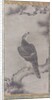 Hawk on a Pine, 16th century by Kano Yukinobu