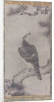 Hawk on a Pine, 16th century by Kano Yukinobu