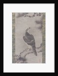 Hawk on a Pine, 16th century by Kano Yukinobu