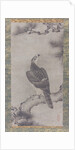 Hawk on a Pine, 16th century by Kano Yukinobu