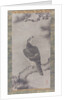 Hawk on a Pine, 16th century by Kano Yukinobu