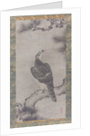 Hawk on a Pine, 16th century by Kano Yukinobu