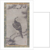 Hawk on a Pine, 16th century by Kano Yukinobu