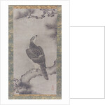 Hawk on a Pine, 16th century by Kano Yukinobu