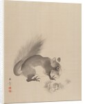 Squirrel Eating Chestnuts, 1887-92 by Gyokusho Kawabata