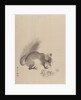Squirrel Eating Chestnuts, 1887-92 by Gyokusho Kawabata