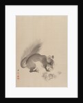 Squirrel Eating Chestnuts, 1887-92 by Gyokusho Kawabata