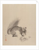 Squirrel Eating Chestnuts, 1887-92 by Gyokusho Kawabata