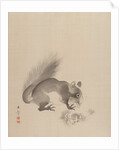 Squirrel Eating Chestnuts, 1887-92 by Gyokusho Kawabata