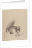 Squirrel Eating Chestnuts, 1887-92 by Gyokusho Kawabata