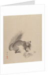 Squirrel Eating Chestnuts, 1887-92 by Gyokusho Kawabata
