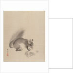 Squirrel Eating Chestnuts, 1887-92 by Gyokusho Kawabata