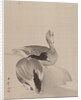 Pair of Ducks, 1887-92 by Gyokusho Kawabata