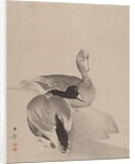 Pair of Ducks, 1887-92 by Gyokusho Kawabata