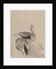 Pair of Ducks, 1887-92 by Gyokusho Kawabata
