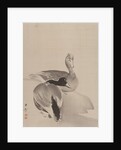Pair of Ducks, 1887-92 by Gyokusho Kawabata