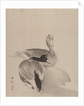 Pair of Ducks, 1887-92 by Gyokusho Kawabata