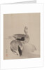 Pair of Ducks, 1887-92 by Gyokusho Kawabata