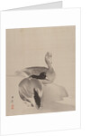 Pair of Ducks, 1887-92 by Gyokusho Kawabata