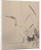 Crane Among Reeds, 1887-92 by Gyokusho Kawabata