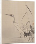 Crane Among Reeds, 1887-92 by Gyokusho Kawabata