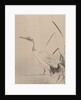 Crane Among Reeds, 1887-92 by Gyokusho Kawabata