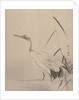 Crane Among Reeds, 1887-92 by Gyokusho Kawabata