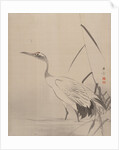 Crane Among Reeds, 1887-92 by Gyokusho Kawabata